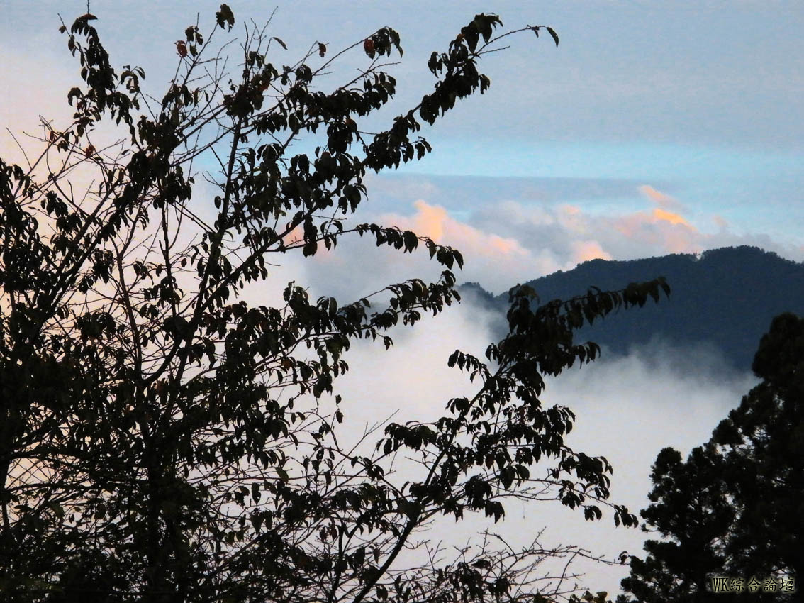DSCF5133.jpg