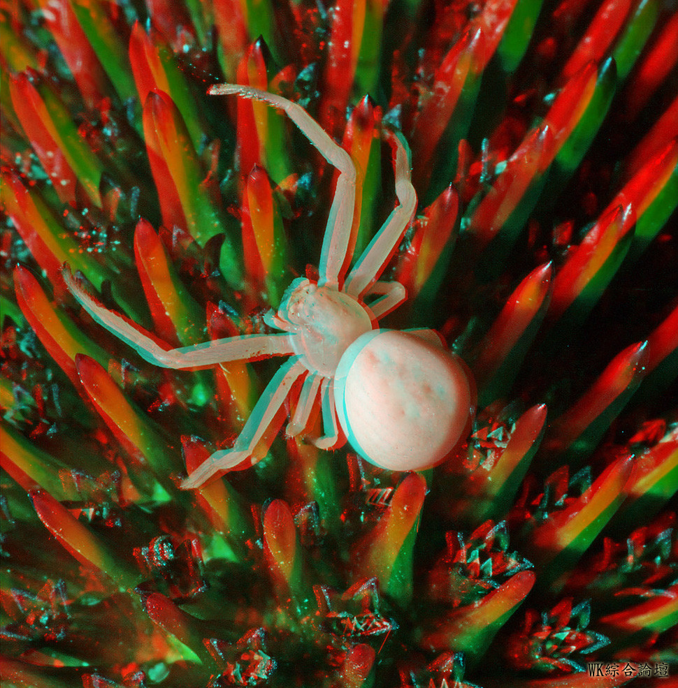 6137ece895e3a4525a7cedb54283034add9095ff50b8b9176544bea5fadbf6f5e2d3cd2febdaddd5.jpg