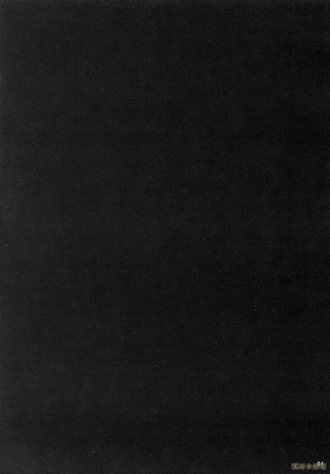 img004.jpg