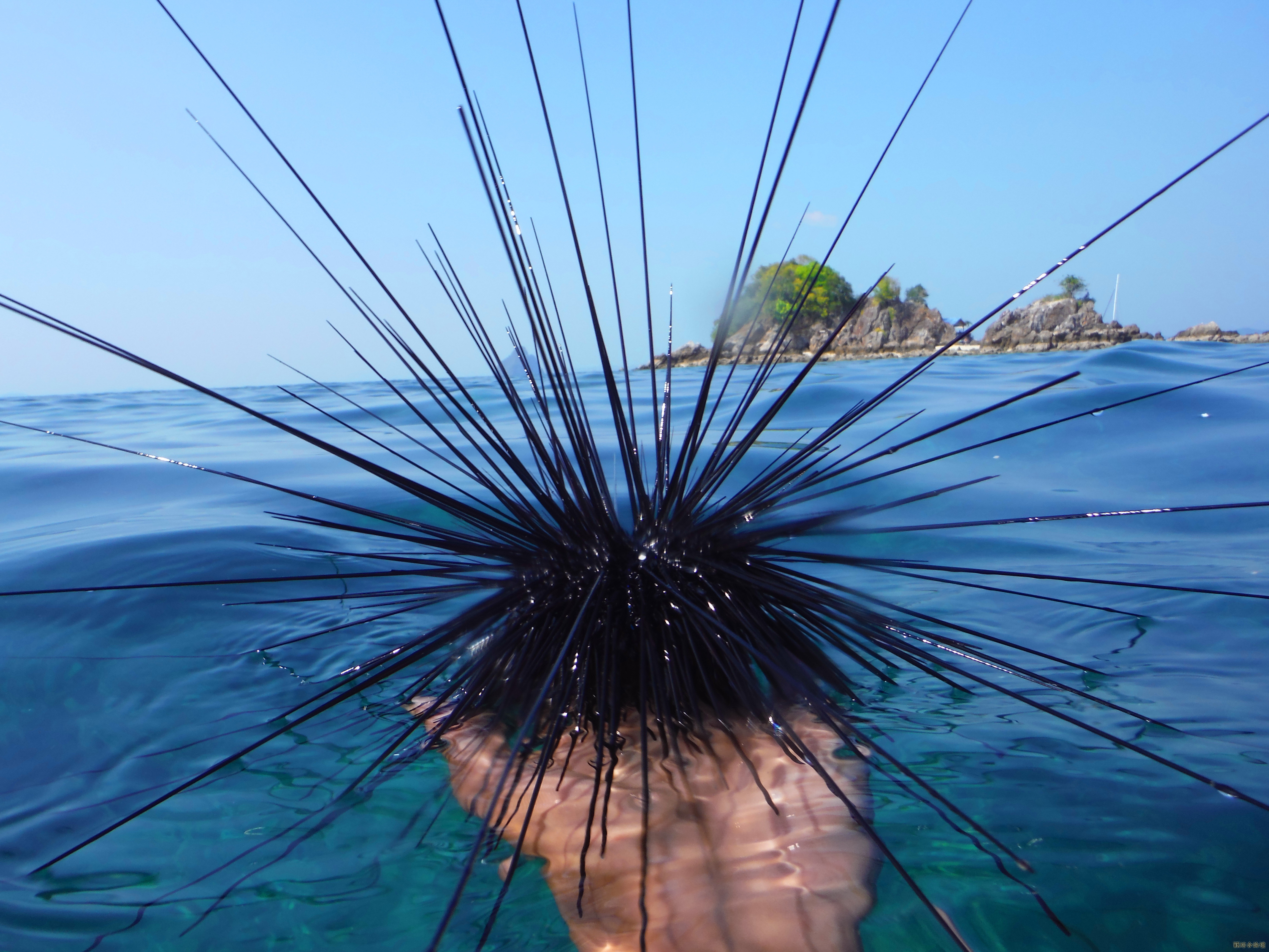DSCF5888.JPG