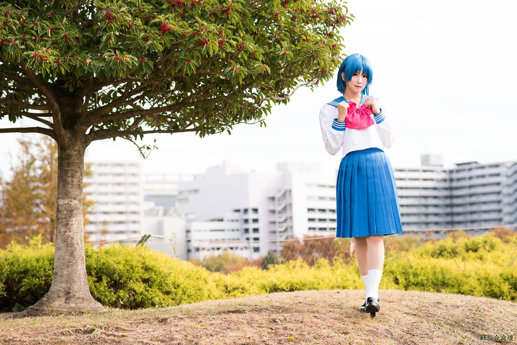 Ami_006.jpg