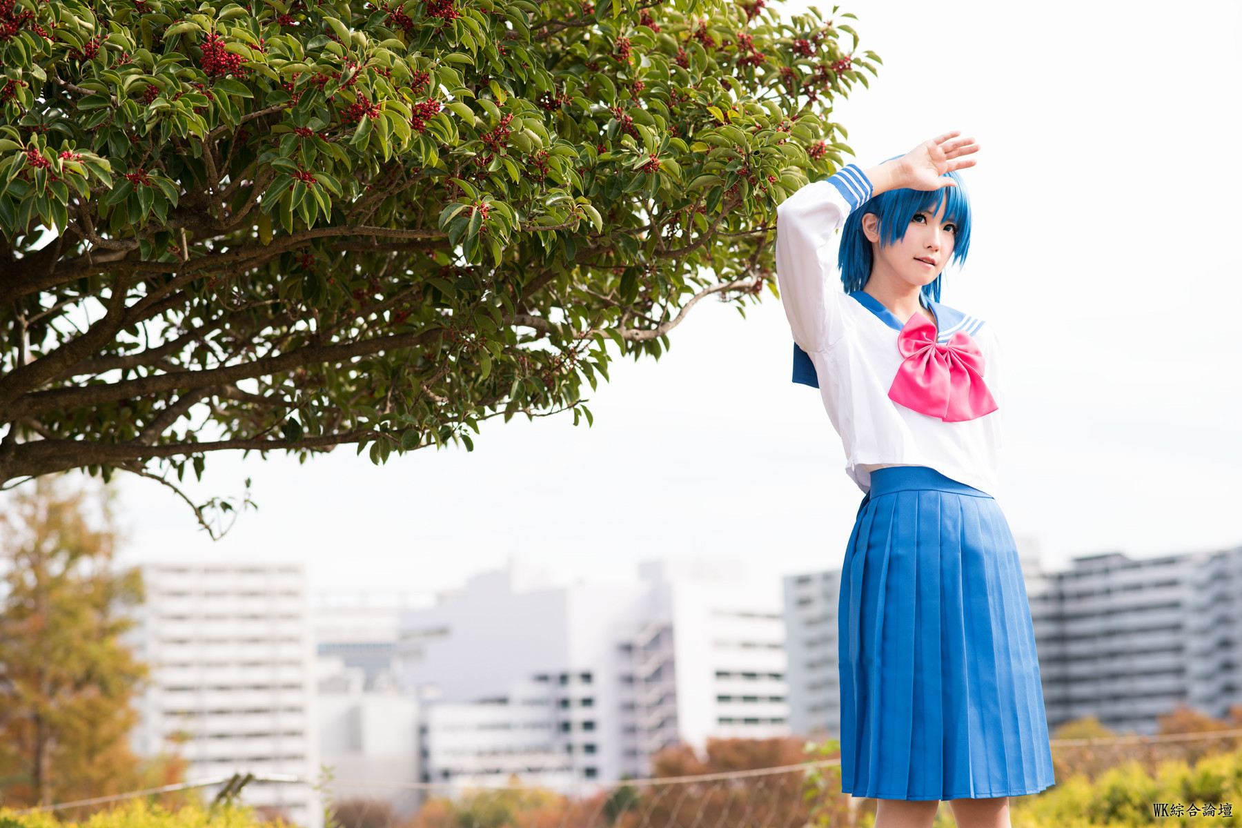 Ami_007.jpg