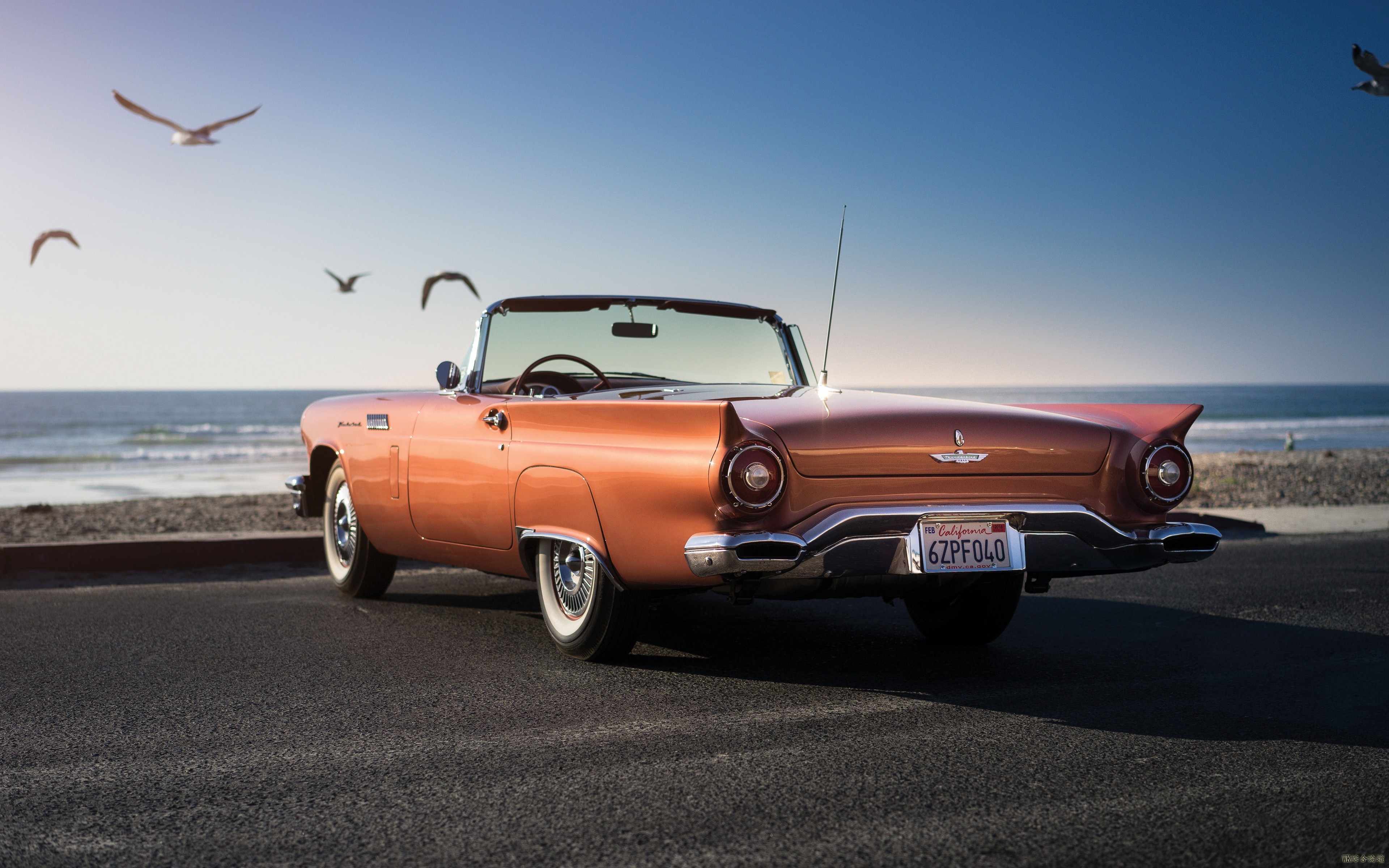 1957_ford_thunderbird_100900_3840x2400.jpg