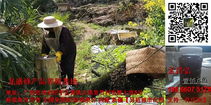 旅游攻略:深圳周边游,香港旅游,海洋公园-1.jpg
