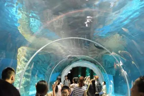 旅游攻略:深圳周边游,香港旅游,海洋公园-5.jpg