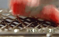 纽约美食图鉴 | 被纽约时报翻牌子的韩式金牌烤肉店究竟是谁?-1.jpg