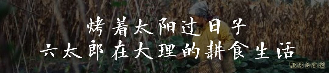 《慢食, 慢生活》| 新美食家日记--墨西哥的特瓦坎苋菜(上)-15.jpg