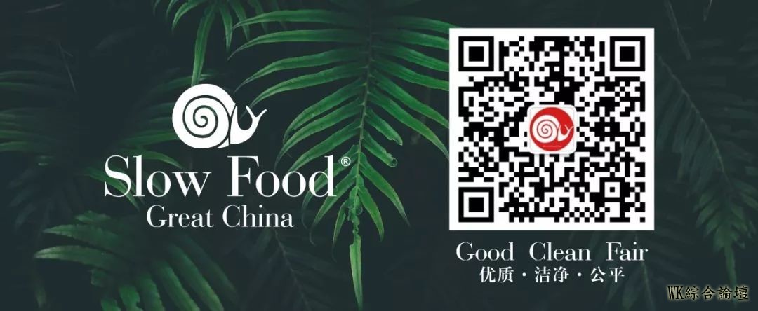 《慢食, 慢生活》| 新美食家日记--墨西哥的特瓦坎苋菜(上)-17.jpg