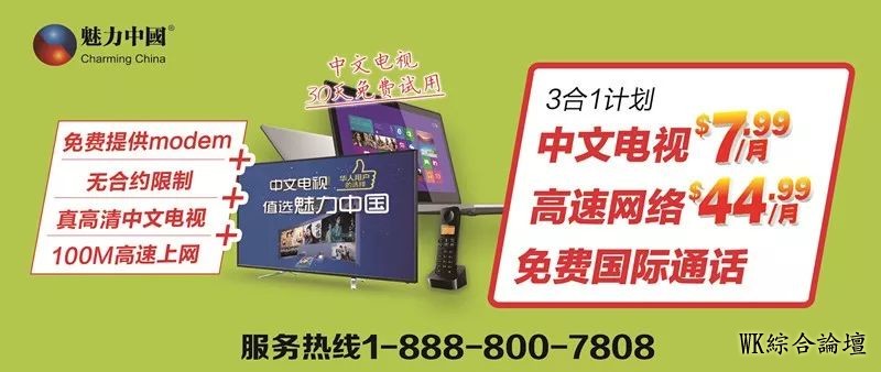 【西雅图周末好去处】水族馆成人游泳、Lady 12时尚秀、Jubilee Teach圣诞树拍卖活动-11.jpg