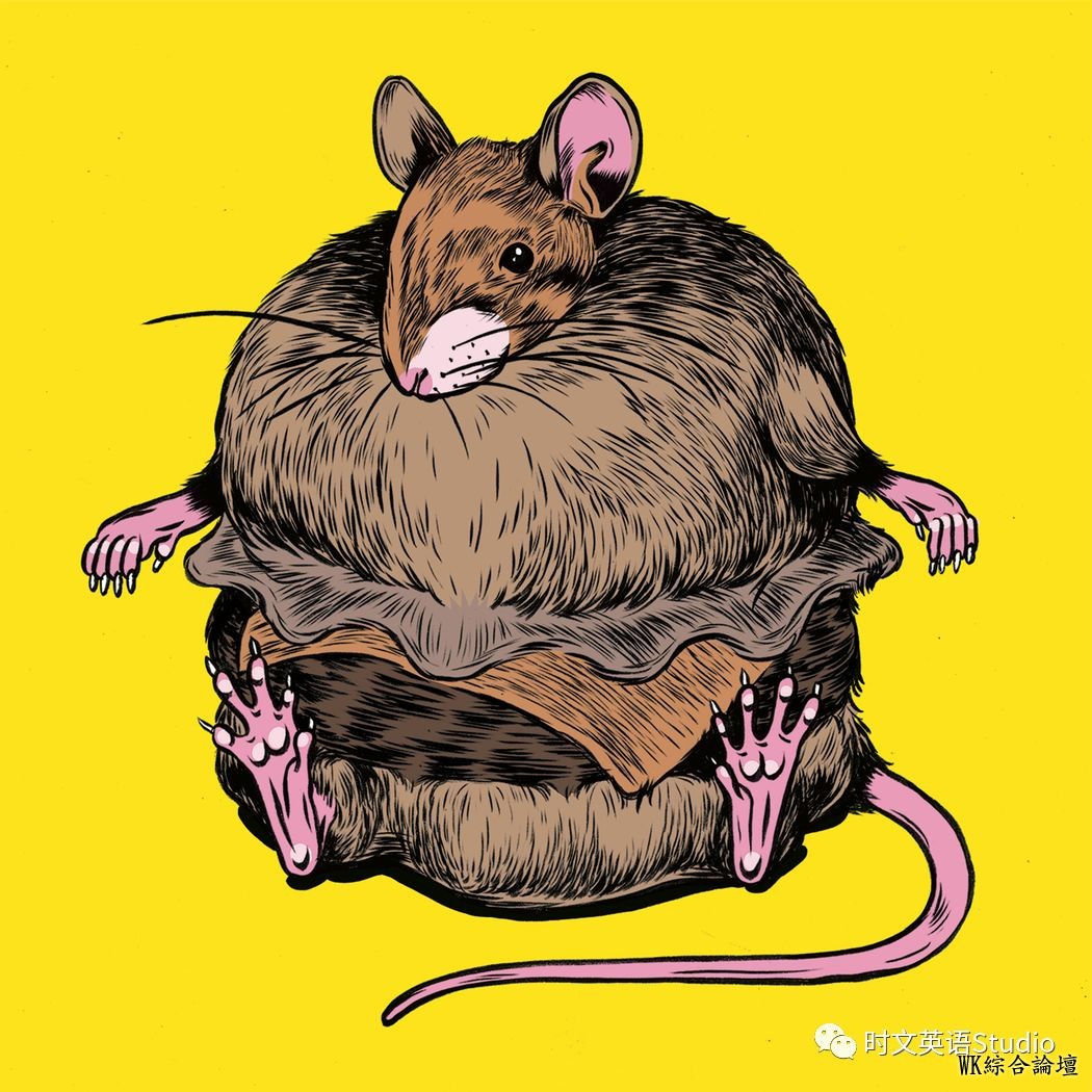 纽约时报:什么样的食物最增肥?(双语)-1.jpg