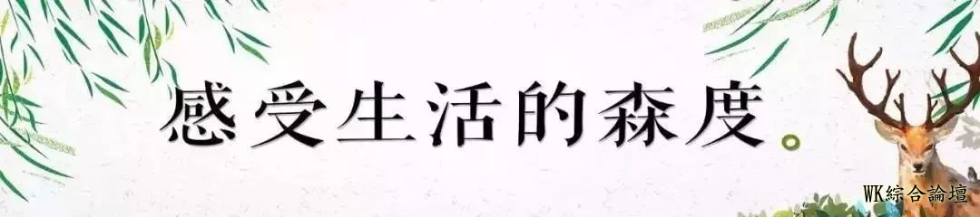 森度游 | 在旧金山的这些街角,如何邂逅暗黑英雄“毒液”?-1.jpg