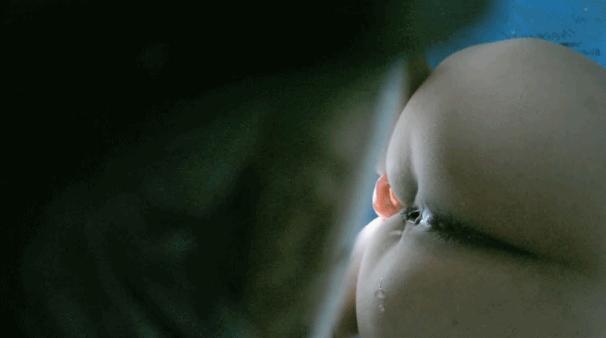26.gif
