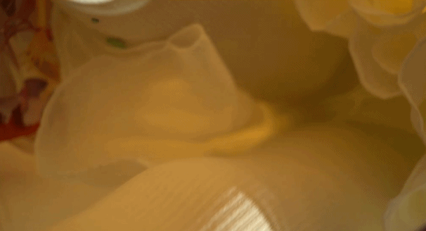 37.gif